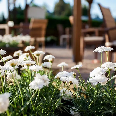 Barnimer Hof Hotel Wandlitz