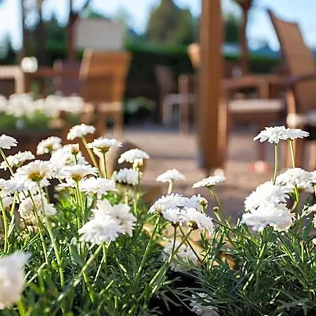 Barnimer Hof Hotel Wandlitz