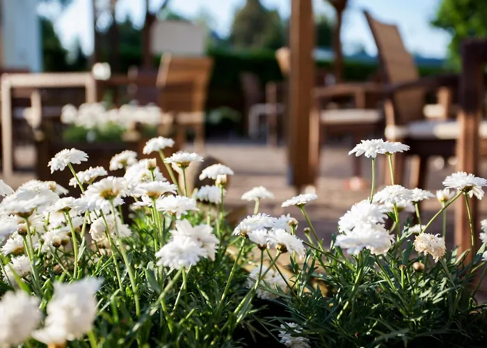 Barnimer Hof Hotel Wandlitz